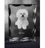 Bichon Frise, Gelockter Bichon, Tenneriffahündchen - Kristall mit einem Hundebild, Glasstatuette mit einem Bild, einzigartiger Bilderrahmen der Marke Art-Dog