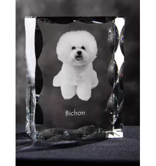 Bichon a poil frise, Bichon Frise, Bichon Tenerife - cristal avec photo de chien, statuette en verre avec photo, cadre exceptionnel avec photo de la marque Art-Dog