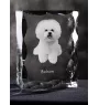 Bichon a poil frise, Bichon Frise, Bichon Tenerife - cristal avec photo de chien, statuette en verre avec photo, cadre exceptionnel avec photo de la marque Art-Dog