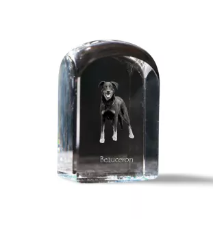 Berger de Beauce, Beauceron, Beauce Sheep Dog - crystal cube with a photo, photo of a dog in crystal, cubic paperweight from Art-Dog brand