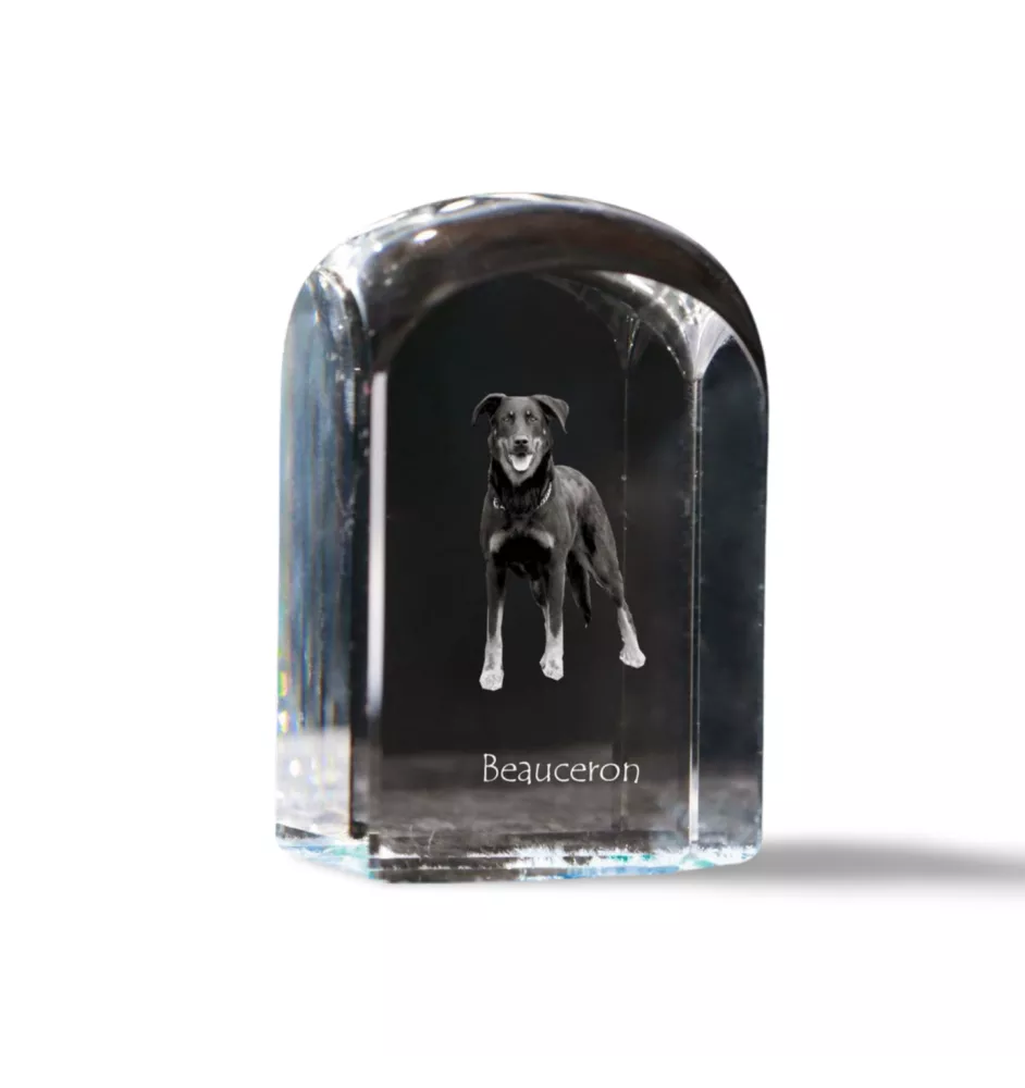 Beauceron, berger de Beauce, berger francais, bas-rouge - un cube de cristal avec une photo, une photo de chien dans le cristal, un presse-papiers cubique de la marque Art-Dog