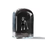 Berger de Beauce, Beauceron, Beauce Sheep Dog - crystal cube with a photo, photo of a dog in crystal, cubic paperweight from Art-Dog brand