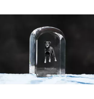 Berger de Beauce, Beauceron, Beauce Sheep Dog - crystal cube with a photo, photo of a dog in crystal, cubic paperweight from Art-Dog brand