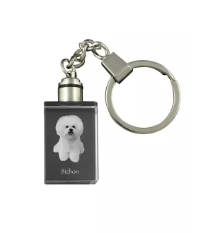 Bichon Frise, Gelockter Bichon, Tenneriffahündchen - Schlüsselanhänger aus Kristall mit Hundefoto, beleuchteter Schlüsselanhänger, einzigartiges Geschenk der Marke Art-Dog