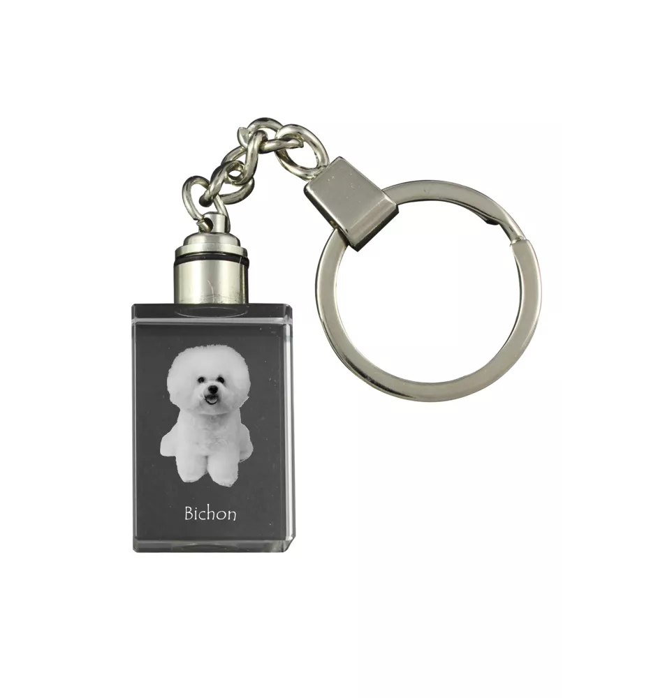 Bichon a poil frise, Bichon Frise, Bichon Tenerife - Porte-clés en cristal avec photo de chien, porte-clés lumineux, cadeau unique de la marque Art-Dog