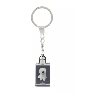 Bichon Frise, Gelockter Bichon, Tenneriffahündchen - Schlüsselanhänger aus Kristall mit Hundefoto, beleuchteter Schlüsselanhänger, einzigartiges Geschenk der Marke Art-Dog