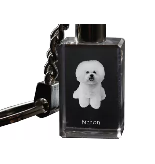 Bichon a poil frise, Bichon Frise, Bichon Tenerife - Porte-clés en cristal avec photo de chien, porte-clés lumineux, cadeau unique de la marque Art-Dog
