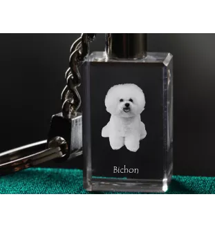 Bichon a poil frise, Bichon Frise, Bichon Tenerife - Porte-clés en cristal avec photo de chien, porte-clés lumineux, cadeau unique de la marque Art-Dog