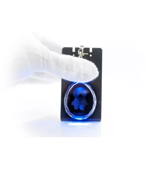 Bichon Frise, Bichon Tenerife, Bichon a poil frise - pendant with a photo of a dog, crystal key ring in a gift box, a unique gift by Art-Dog