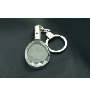 Bichon Frise, Bichon Tenerife, Bichon a poil frise - pendant with a photo of a dog, crystal key ring in a gift box, a unique gift by Art-Dog