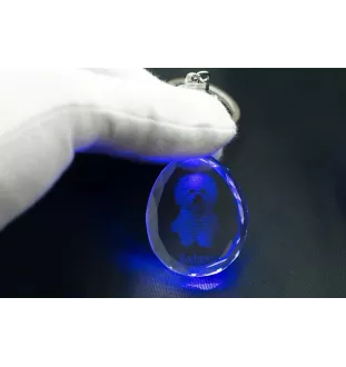 Bichon Frise, Gelockter Bichon, Tenneriffahündchen - Anhänger mit einem Foto eines Hundes, Schlüsselanhänger aus Kristall in einer Geschenkbox, ein einzigartiges Geschenk von Art-Dog