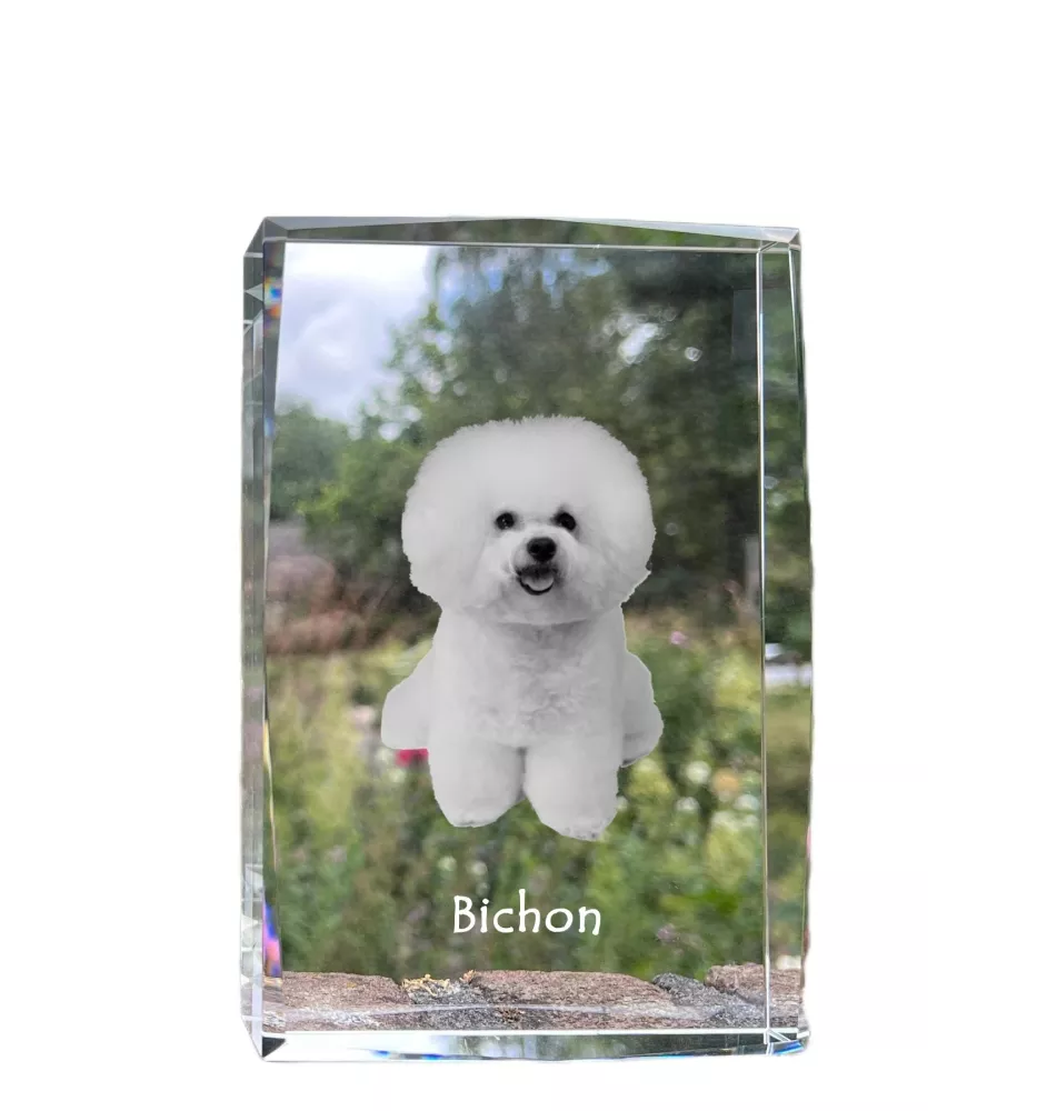 Bichon Frise, Bichon Tenerife, Bichon a poil frise - crystal with a picture of a dog, photo in glass, modern exhibition of Art-Dog brand photo