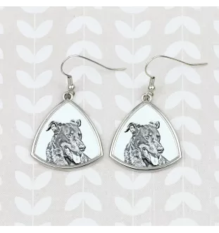 Berger de Beauce, Beauceron, Beauce Sheep Dog - dog earrings, hanging earrings with a picture, personalized jewelry with Art-Dog brand print