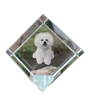 Bichon Frise kostka kryształowa z psem Art-Dog