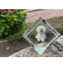 Bichon Frise, Bichon Tenerife, Bichon a poil frise - crystal cube with a photo, photo of a horse in crystal, cubic paperweight from Art-Dog brand