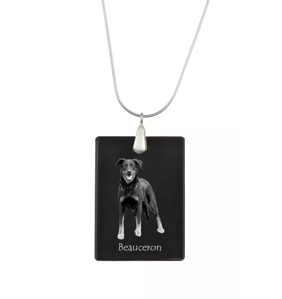 Beauceron, berger de Beauce, berger francais, bas-rouge - Pendentif en cristal avec chien, collier en argent avec photo, pendentif personnalisé par la marque Art-Dog