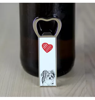 Biewer Terrier, Biewer Yorkshire Terrier - Flaschenöffner mit Hund, personalisierter Flaschenöffner für den Kühlschrank, ein einzigartiges Geschenk für Männer von der Marke Art-Dog