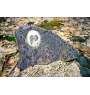Biewer Yorkshire Terrier - commemorative plaque with a photo of a dog, tombstone with a print, personalized oval plaque from the Art-Dog brand