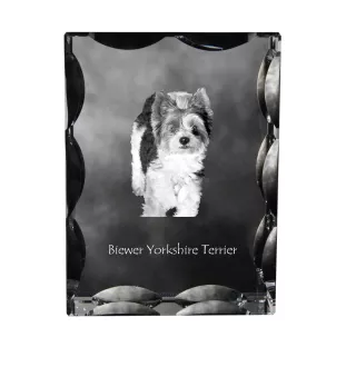 Biewer Terrier, Biewer Yorkshire Terrier - Kristall mit einem Hundebild, Glasstatuette mit einem Bild, einzigartiger Bilderrahmen der Marke Art-Dog