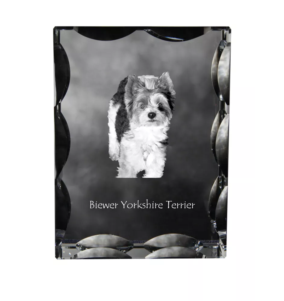 Biewer Yorkshire Terrier - crystal with a picture of a dog, glass statuette with a picture, unique frame with a picture from Art-Dog brand