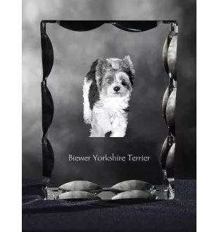 Biewer Terrier, Biewer Yorkshire Terrier - Kristall mit einem Hundebild, Glasstatuette mit einem Bild, einzigartiger Bilderrahmen der Marke Art-Dog