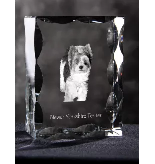 Biewer Yorkshire Terrier - crystal with a picture of a dog, glass statuette with a picture, unique frame with a picture from Art-Dog brand