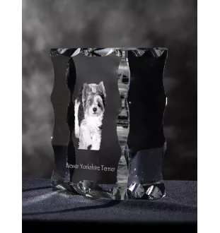 Biewer Yorkshire Terrier - crystal with a picture of a dog, glass statuette with a picture, unique frame with a picture from Art-Dog brand