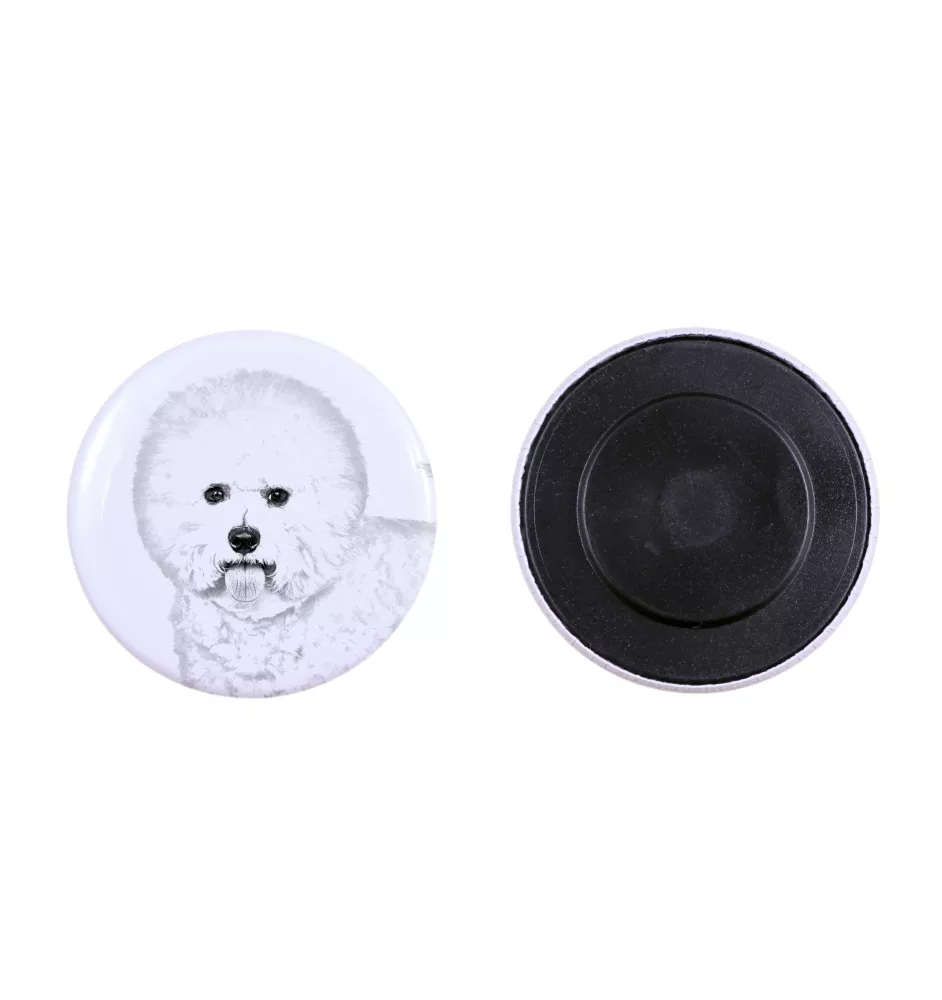 Bichon Frise, Bichon Tenerife, Bichon a poil frise - magnet with a dog's pupil, exceptionally light, strong magnet, handmade product by the Art-Dog brand