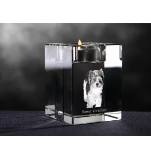 Biewer Yorkshire Terrier świecznik kryształowy z psem Art-Dog