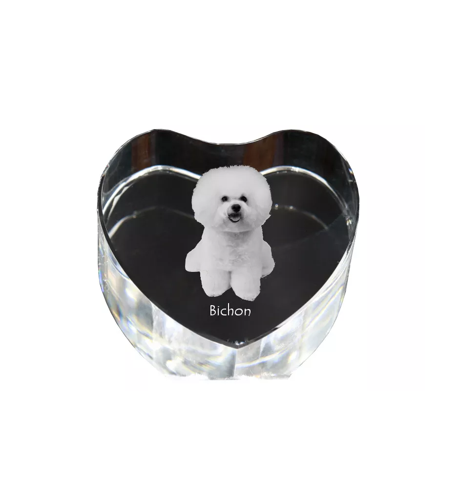 Bichon Frise, Gelockter Bichon, Tenneriffahündchen - Hundebild im Kristall, Kristallherz, einzigartiger Bilderrahmen der Marke Art-Dog
