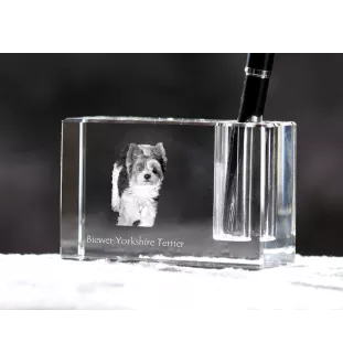 Biewer Yorkshire Terrier - Pen stand, crystal organiser with dog photo, unique desk decoration by Art-Dog brand