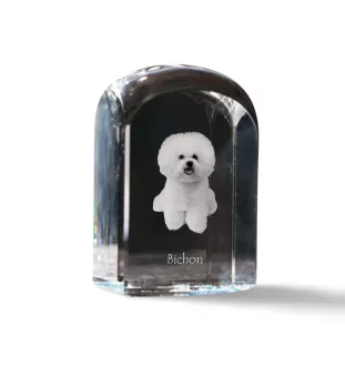 Bichon Frise, Gelockter Bichon, Tenneriffahündchen - Kristallwürfel mit Bild, Hundebild im Kristall, sechseckiger Papierclip von Art-Dog.