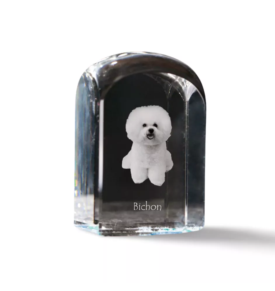 Bichon Frise, Bichon Tenerife, Bichon a poil frise - crystal cube with a photo, photo of a dog in crystal, cubic paperweight from Art-Dog brand
