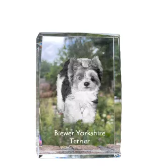 Biewer Yorkshire terrier - cristal avec une photo de chien, photo sous verre, exposition moderne de la marque de photos Art-Dog
