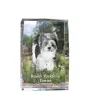 Biewer Yorkshire Terrier - crystal with a picture of a dog, photo in glass, modern exhibition of Art-Dog brand photo