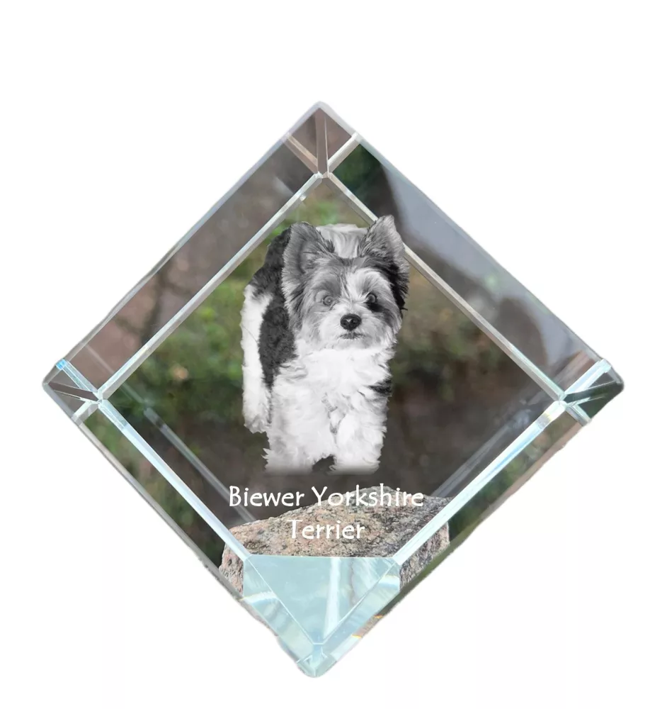Biewer Yorkshire terrier - un cube de cristal avec une photo, une photo de cheval dans le cristal, un presse-papiers cubique de la marque Art-Dog