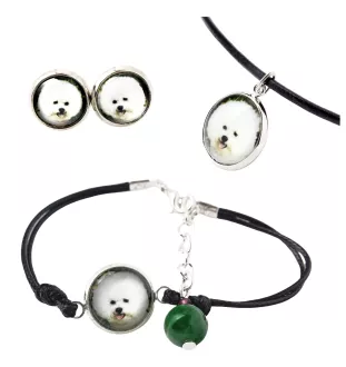 Bichon a poil frise, Bichon Frise, Bichon Tenerife - ensemble de bijoux dans une boîte, collier, boucles d'oreilles, bracelet, produits de la marque Art-Dog