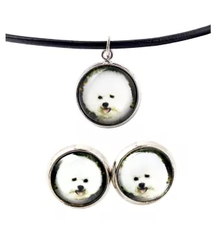 Bichon Frise, Gelockter Bichon, Tenneriffahündchen - Schmuck mit Ihrem Foto-Box, Halskette und Ohrringe-Set, personalisierte Produkte der Marke Art-Dog.