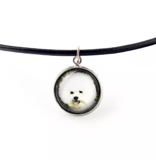 Bichon a poil frise, Bichon Frise, Bichon Tenerife - boîte à bijoux avec votre photo, ensemble collier et boucles d'oreilles, produits personnalisés de la marque Art-Dog
