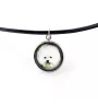 Bichon a poil frise, Bichon Frise, Bichon Tenerife - boîte à bijoux avec votre photo, ensemble collier et boucles d'oreilles, produits personnalisés de la marque Art-Dog