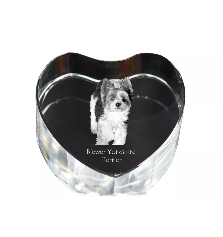 Biewer Terrier, Biewer Yorkshire Terrier - Hundebild im Kristall, Kristallherz, einzigartiger Bilderrahmen der Marke Art-Dog