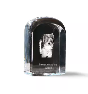 Biewer Yorkshire terrier - un cube de cristal avec une photo, une photo de chien dans le cristal, un presse-papiers cubique de la marque Art-Dog