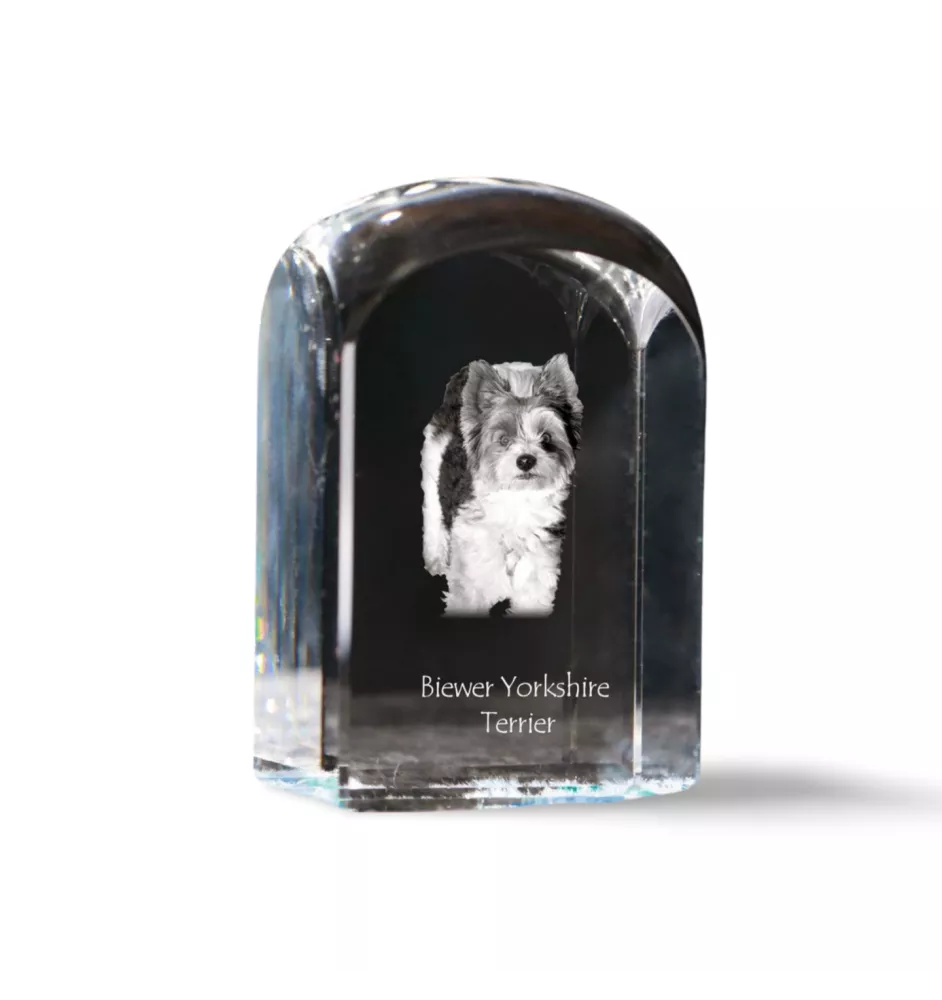 Biewer Yorkshire Terrier - crystal cube with a photo, photo of a dog in crystal, cubic paperweight from Art-Dog brand