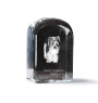 Biewer Yorkshire Terrier - crystal cube with a photo, photo of a dog in crystal, cubic paperweight from Art-Dog brand