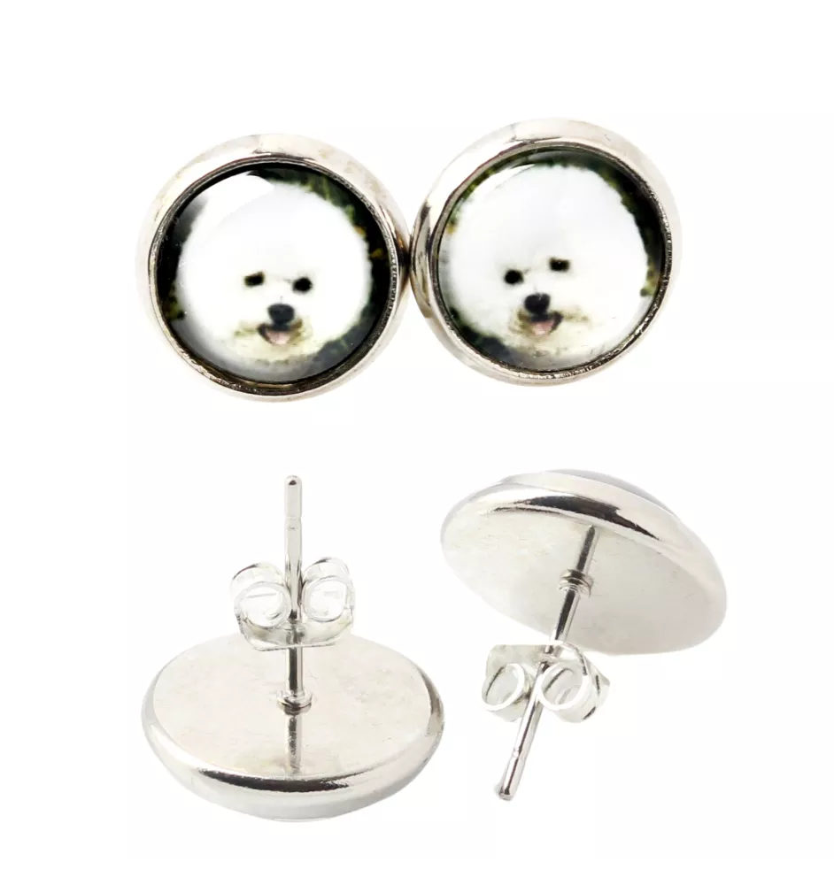Bichon Frise, Gelockter Bichon, Tenneriffahündchen - Ohrringe in einer Schachtel, Ihr Foto, handgefertigter Schmuck, Eigenmarke von Art-Dog.