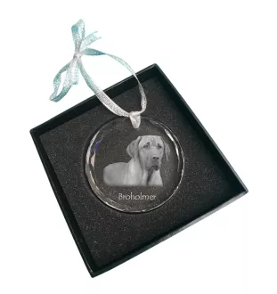 Schwarz-Lohfarbener Waschbärenhund, Black and Tan Coonhound - Kristallkugel mit Foto, Hundebild im Kristall, personalisierter Christbaumschmuck von Art-Dog.