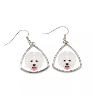 Bichon Frise, Bichon Tenerife, Bichon a poil frise - earrings with a picture and the inscription geometric dog Art-Dog