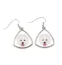 Bichon Frise, Gelockter Bichon, Tenneriffahündchen - Ohrringe mit einem Bild und dem Schriftzug "Geometrischer Hund" von Art-Dog