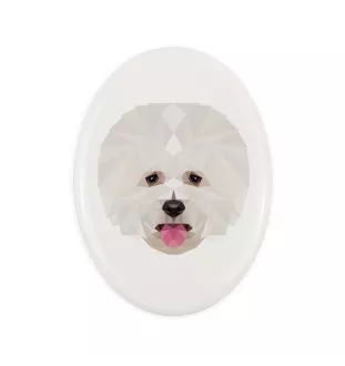 Bichon a poil frise, Bichon Frise, Bichon Tenerife - une plaque avec une photo et un motif géométrique de la marque Art-Dog