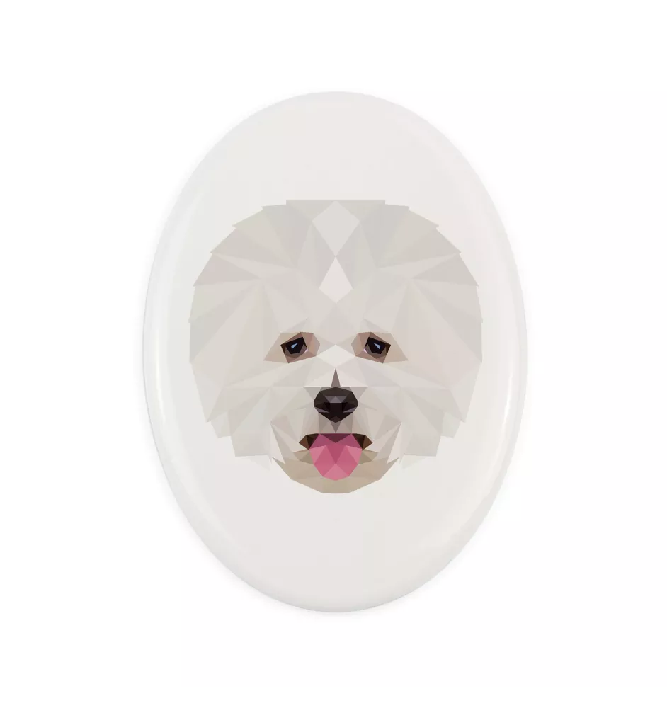 Bichon a poil frise, Bichon Frise, Bichon Tenerife - une plaque avec une photo et un motif géométrique de la marque Art-Dog